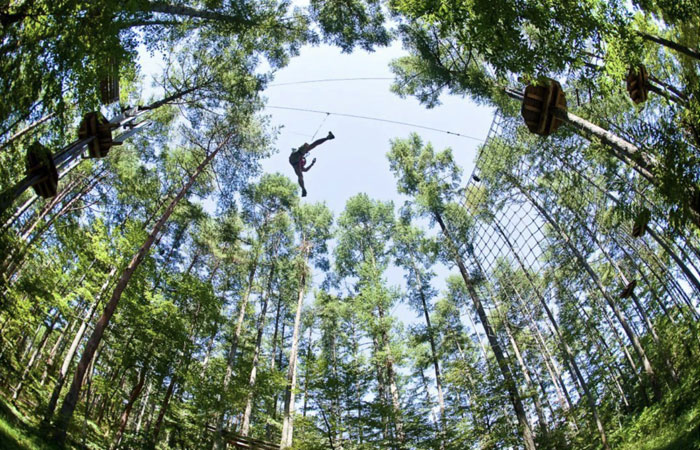 フォレストアドベンチャー秩父