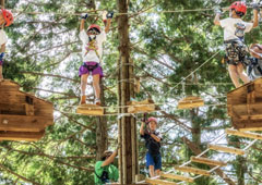 フォレストアドベンチャー秩父