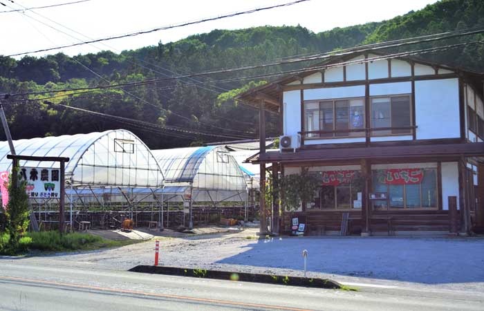 八木観光農園