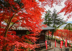 札所一番 誦経山 四萬部寺