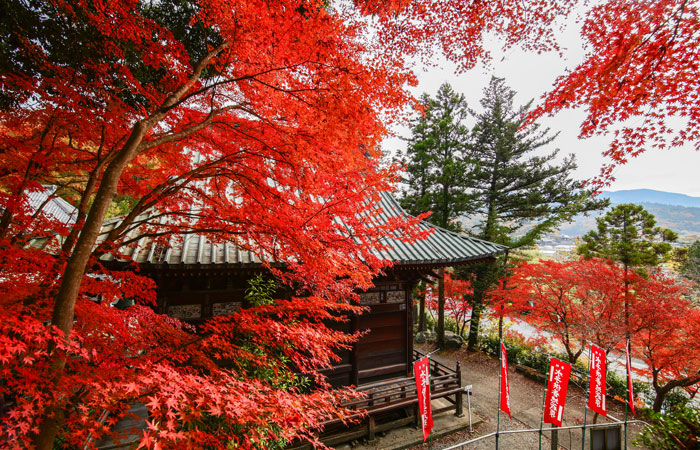 札所一番 誦経山 四萬部寺