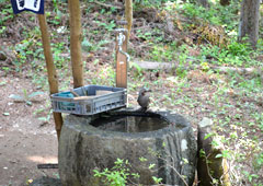 札所二番 大棚山 真福寺