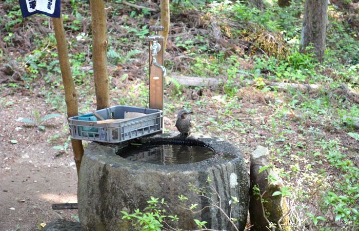 札所二番 大棚山 真福寺