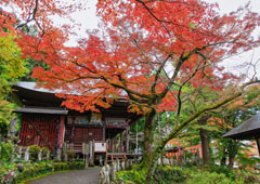 札所四番 高谷山 金昌寺