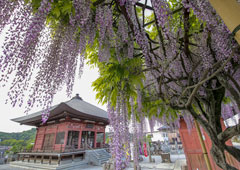 札所五番 小川山 語歌堂