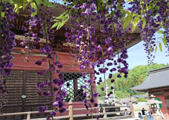 札所五番 小川山 語歌堂