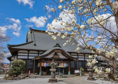 札所七番 青苔山 法長寺