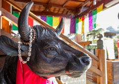 札所七番 青苔山 法長寺