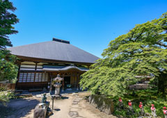 札所八番 清泰山 西善寺