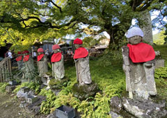 札所八番 清泰山 西善寺