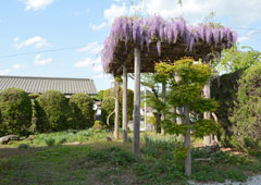 札所九番 明星山 明智寺