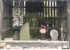 札所九番 明星山 明智寺