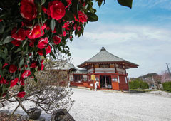 札所九番 明星山 明智寺