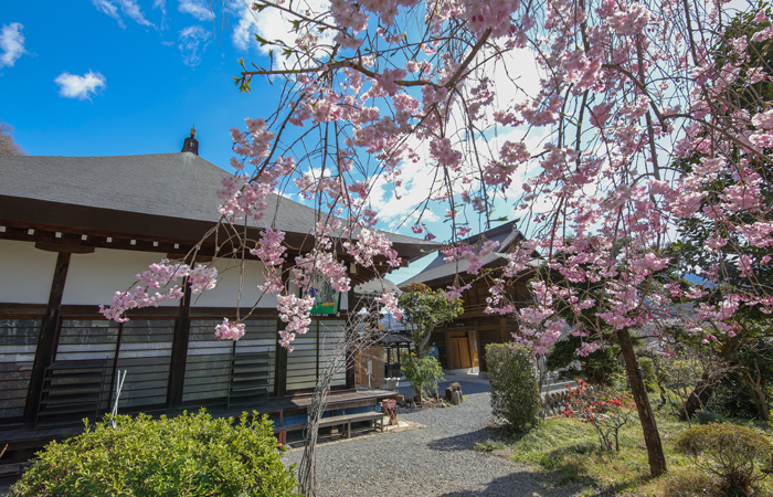 札所十番 萬松山 大慈寺