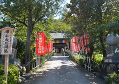 札所十二番 仏道山 野坂寺