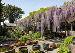札所十二番 仏道山 野坂寺