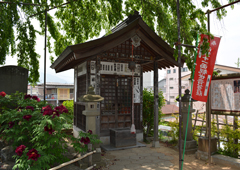 札所十五番 母巣山 少林寺