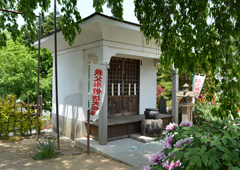 札所十五番 母巣山 少林寺