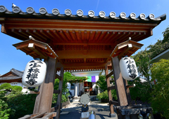 札所十五番 母巣山 少林寺