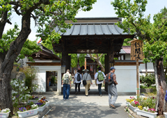 札所十六番 無量山 西光寺