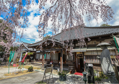 札所十六番 無量山 西光寺