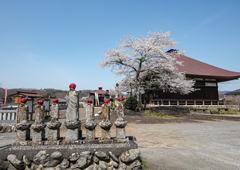 札所十九番 飛渕山 龍石寺