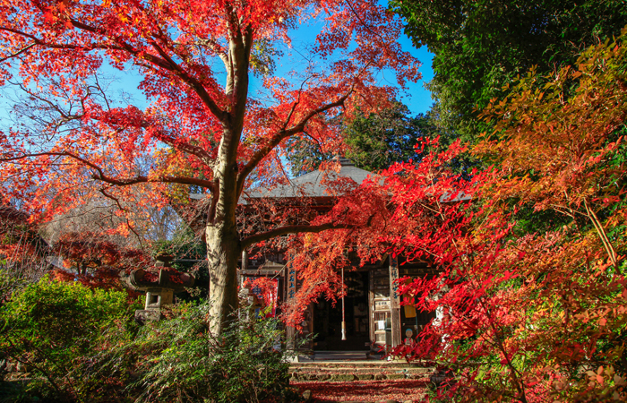 札所二十番 法王山 岩之上堂