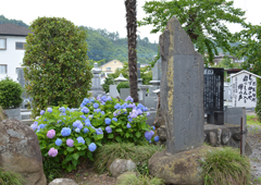 札所二十一番 要光山 観音寺