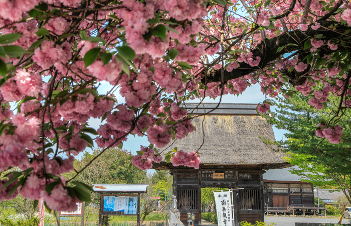 札所二十二番 華台山 童子堂