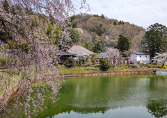 札所二十五番 岩谷山 久昌寺