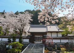 札所二十六番 万松山 円融寺