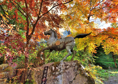 札所二十八番 石龍山 橋立堂