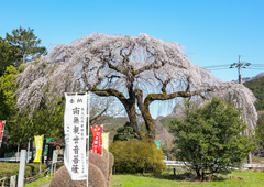 札所二十九番 笹戸山 長泉院