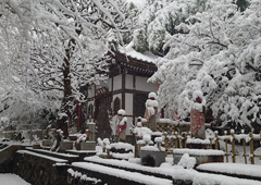 札所二十九番 笹戸山 長泉院