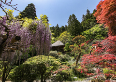 札所三十番 瑞龍山 法雲寺