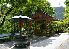 札所三十一番 鷲窟山 観音院