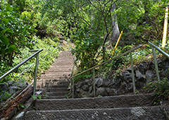 札所三十一番 鷲窟山 観音院