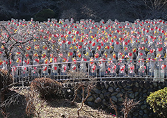 札所三十一番 鷲窟山 観音院