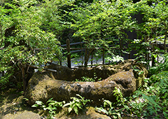 札所三十二番 般若山 法性寺