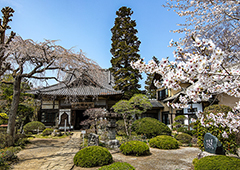札所三十三番 延命山 菊水寺