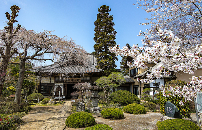 札所三十三番 延命山 菊水寺