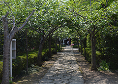 札所三十三番 延命山 菊水寺