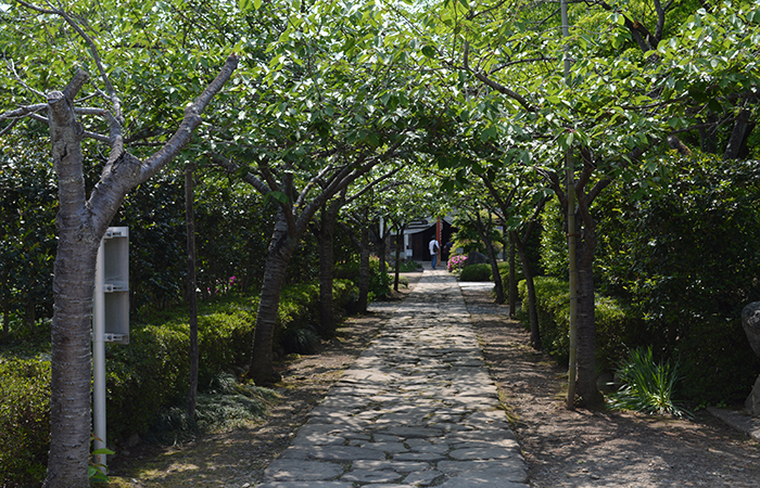 札所三十三番 延命山 菊水寺
