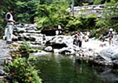 大血川渓流観光釣場